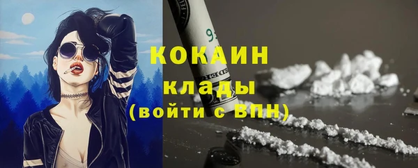 гидра Алексин