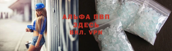 гидра Алексин