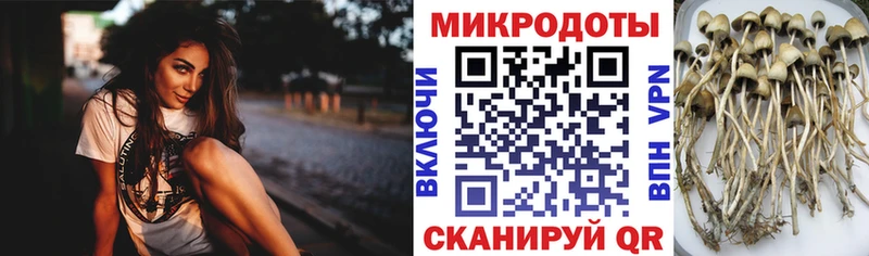Псилоцибиновые грибы Magic Shrooms  Тавда 