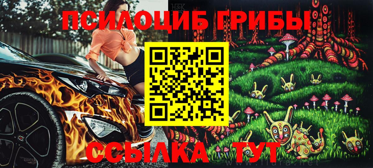 Псилоцибиновые грибы Psilocybe Тавда