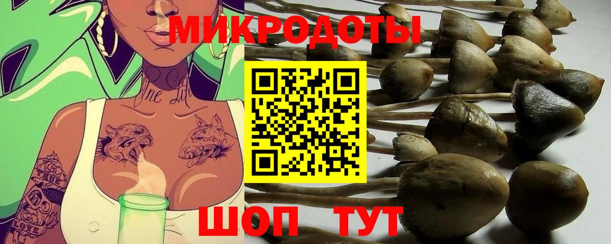 Галлюциногенные грибы Psilocybe  Галлюциногенные грибы Magic Shrooms  Вход с VPN  Тавда 